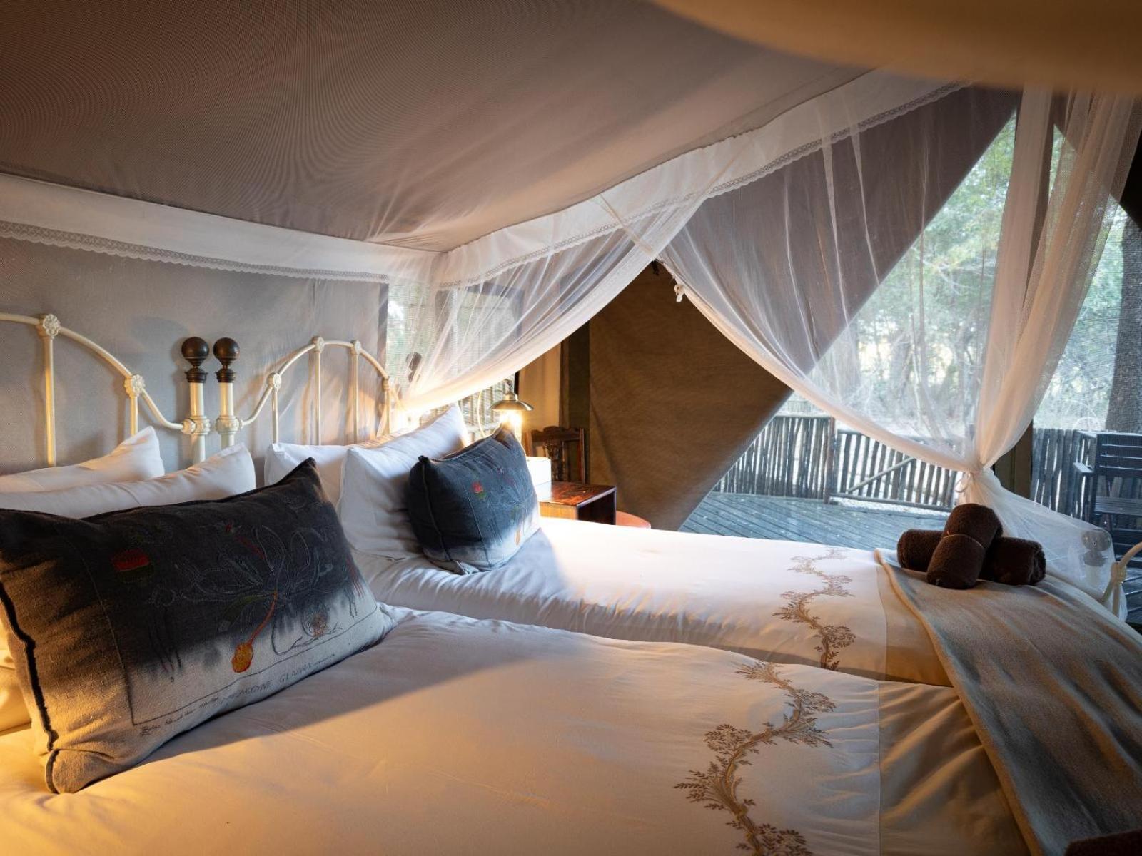 Kwambili Game Lodge Thornybush Game Reserve Habitación foto