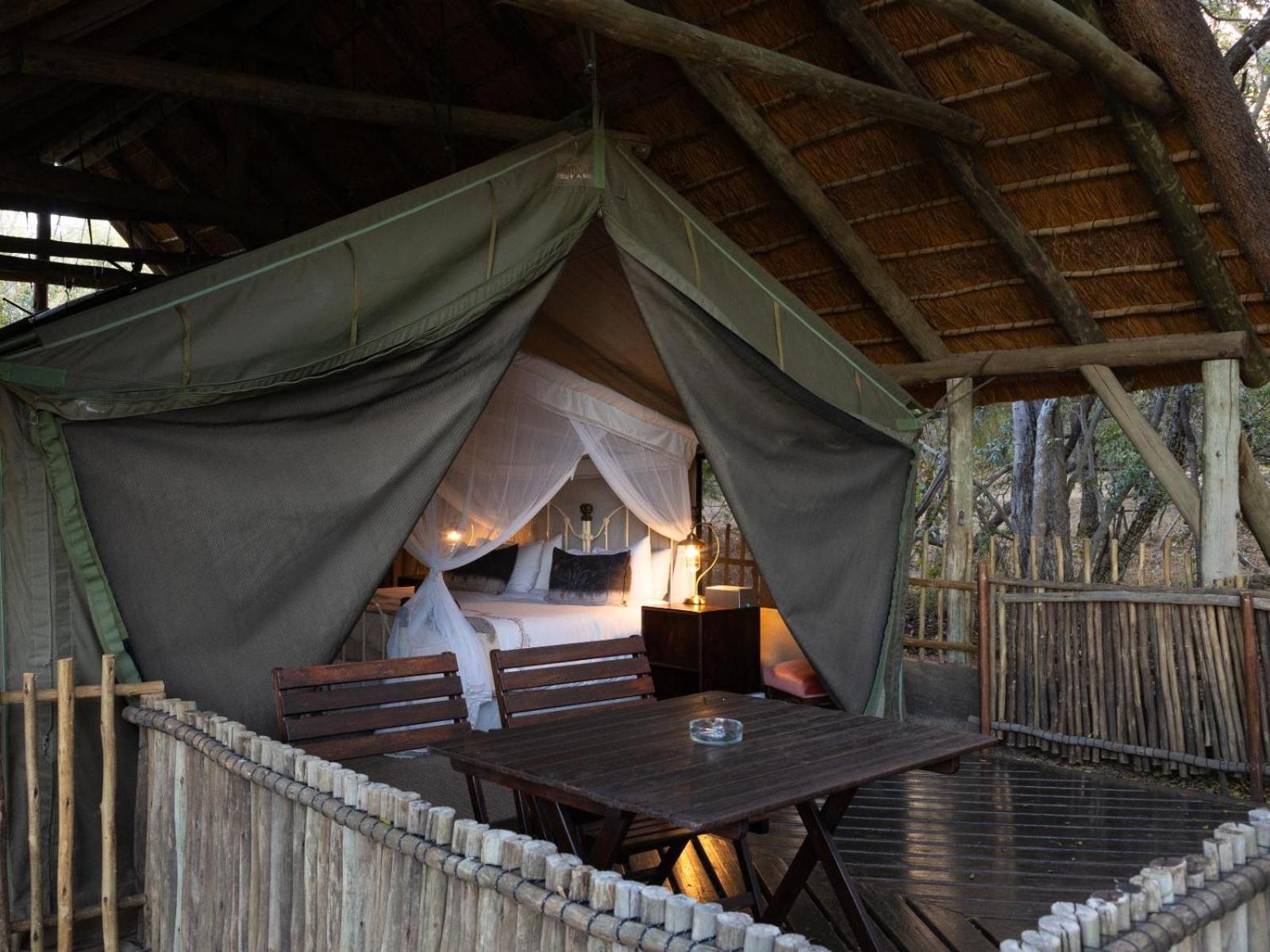 Kwambili Game Lodge Thornybush Game Reserve Habitación foto