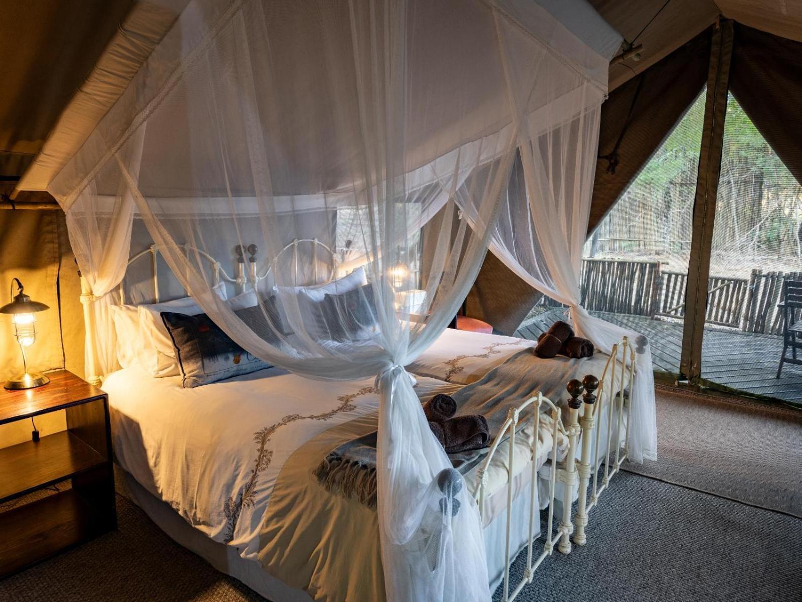 Kwambili Game Lodge Thornybush Game Reserve Habitación foto