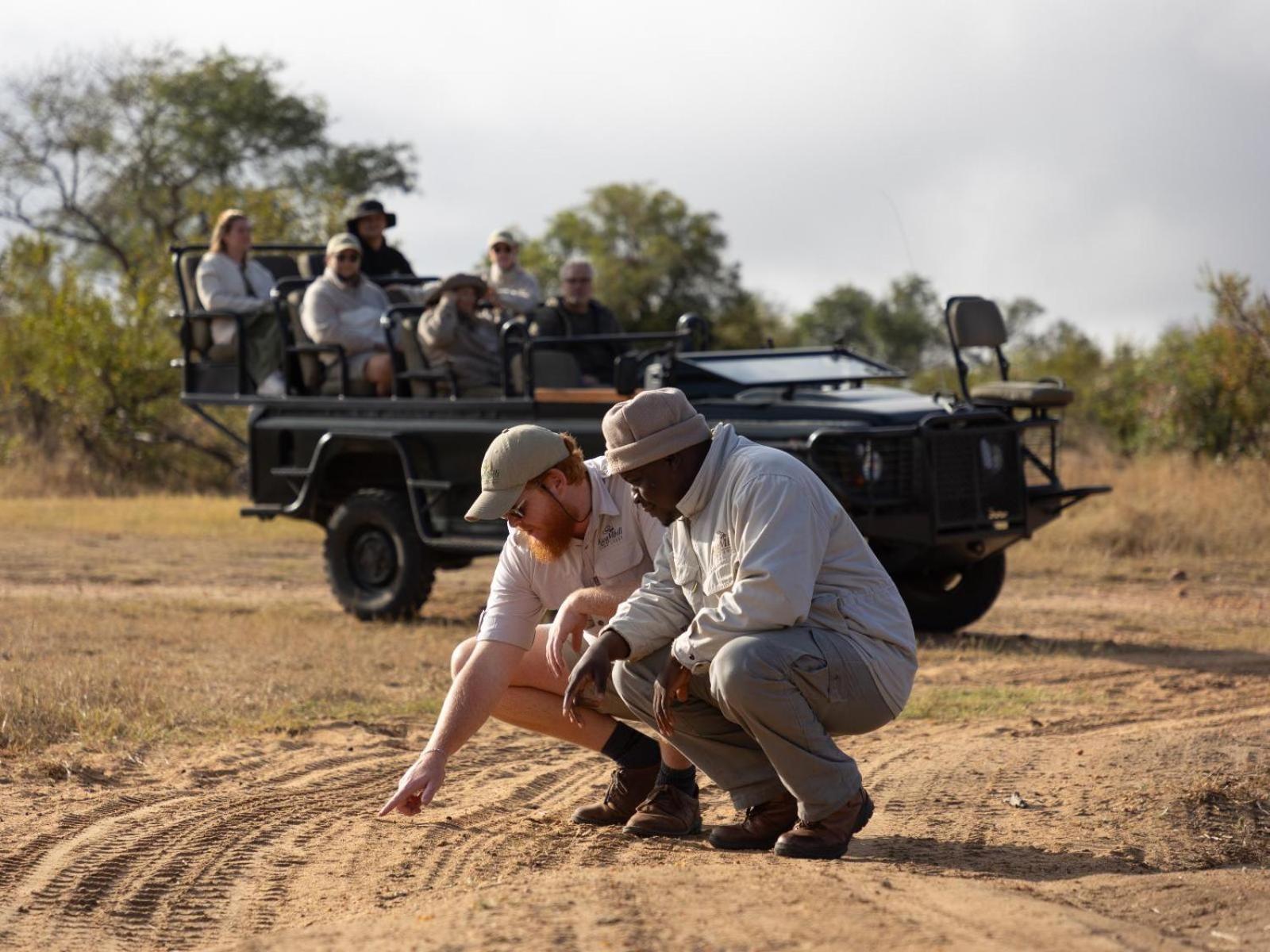 Kwambili Game Lodge Thornybush Game Reserve Exterior foto