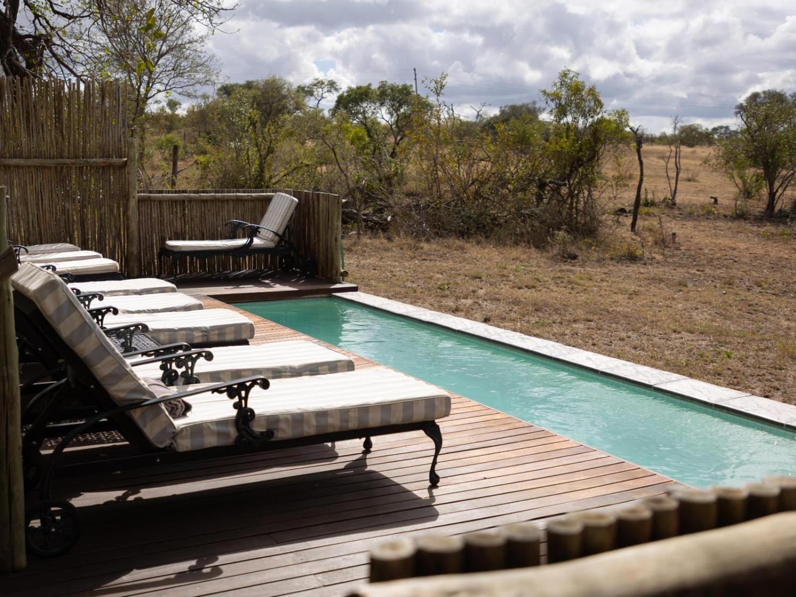Kwambili Game Lodge Thornybush Game Reserve Exterior foto