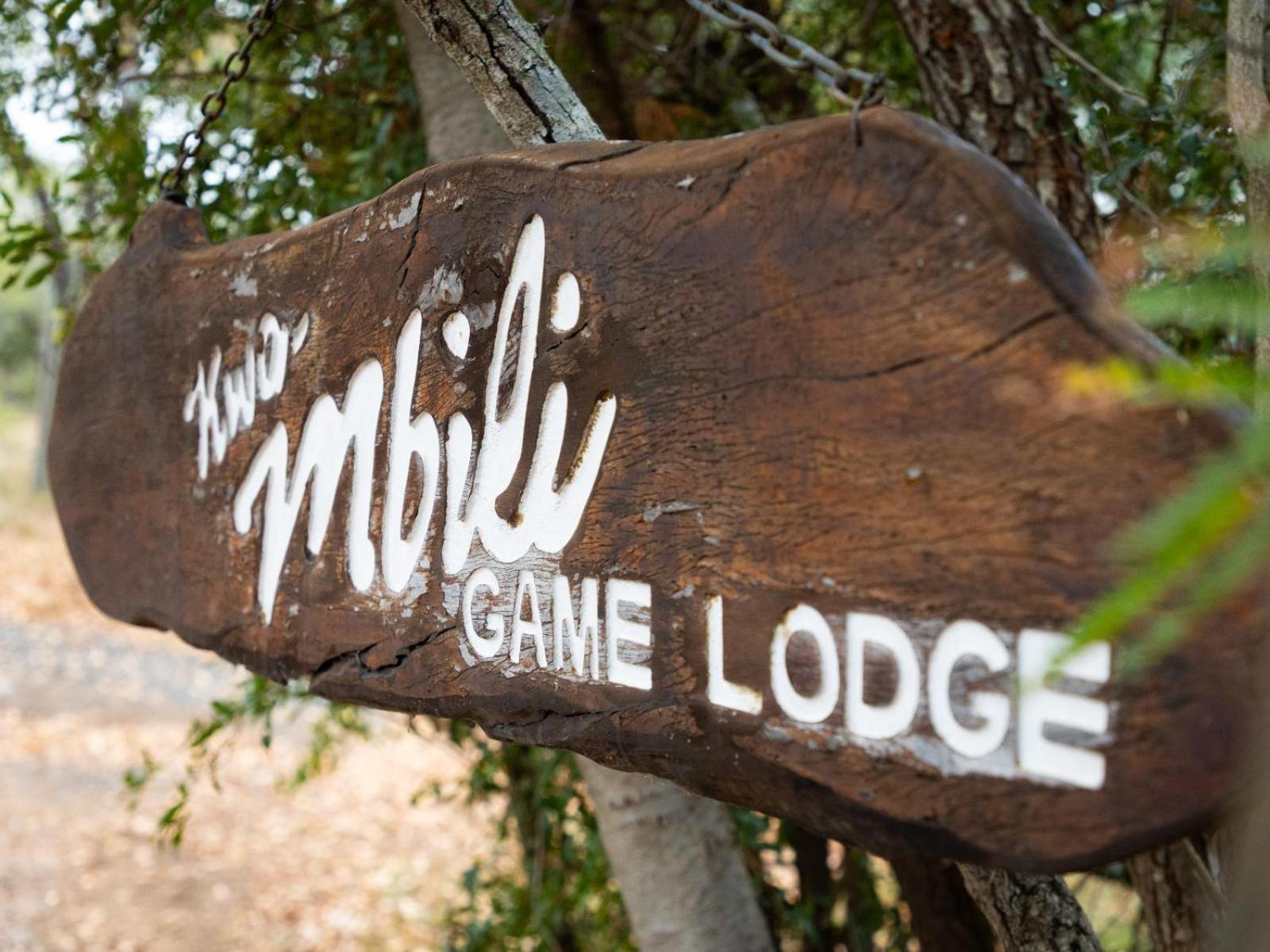 Kwambili Game Lodge Thornybush Game Reserve Exterior foto