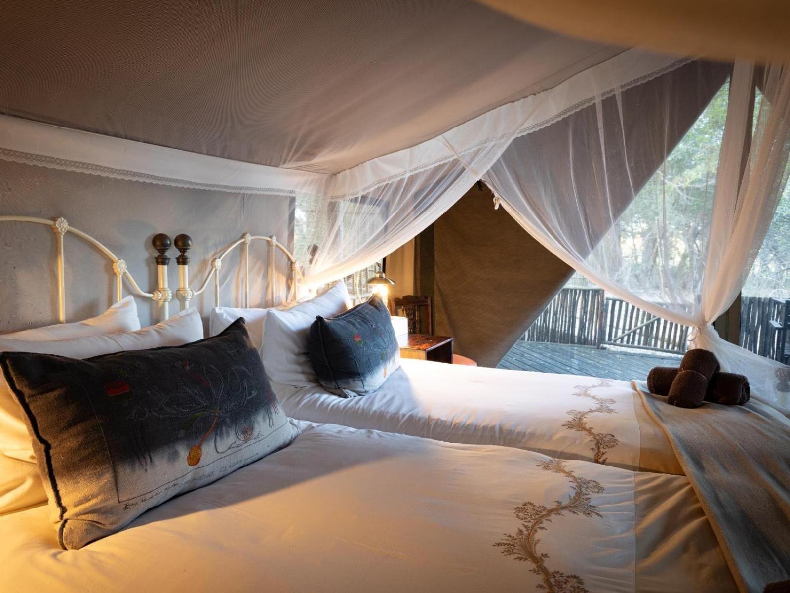 Kwambili Game Lodge Thornybush Game Reserve Habitación foto