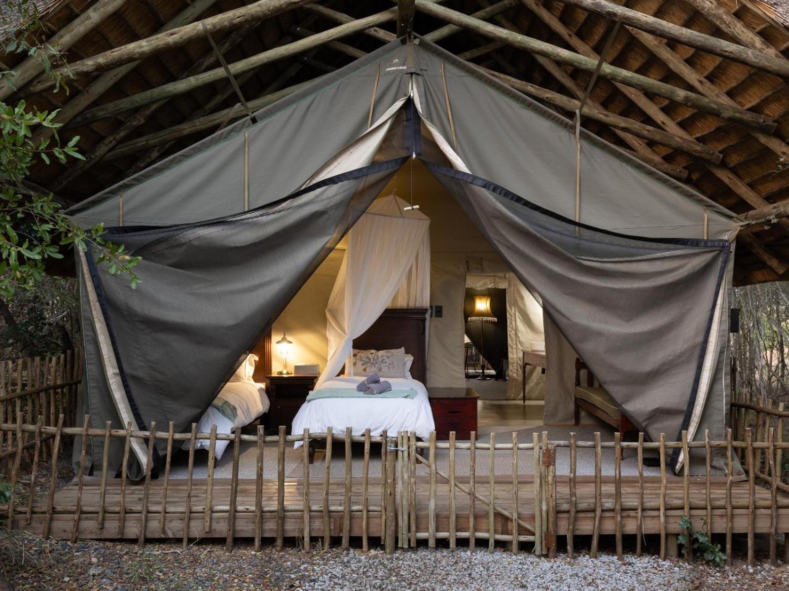 Kwambili Game Lodge Thornybush Game Reserve Exterior foto