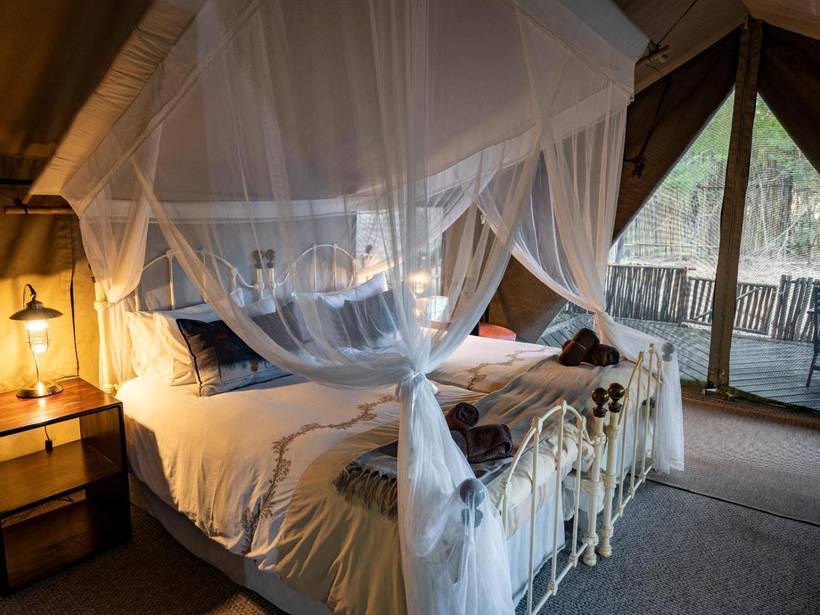 Kwambili Game Lodge Thornybush Game Reserve Habitación foto