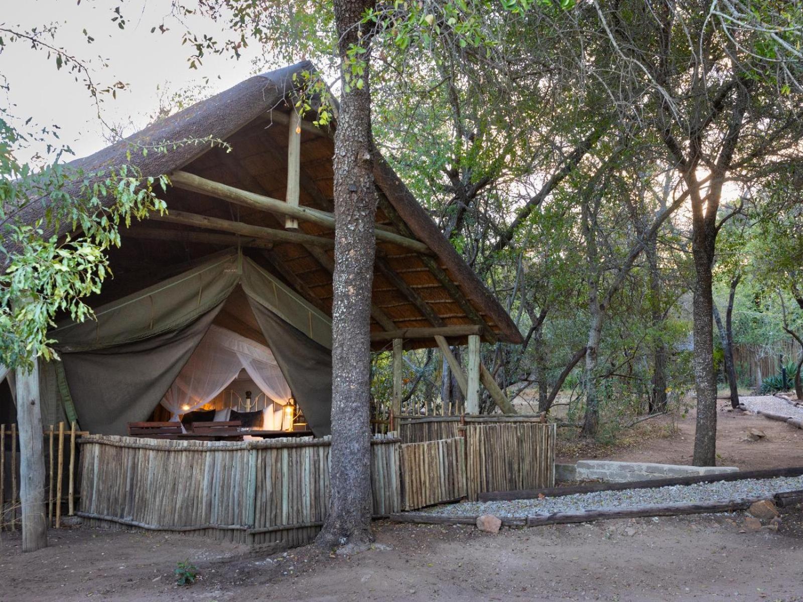 Kwambili Game Lodge Thornybush Game Reserve Habitación foto