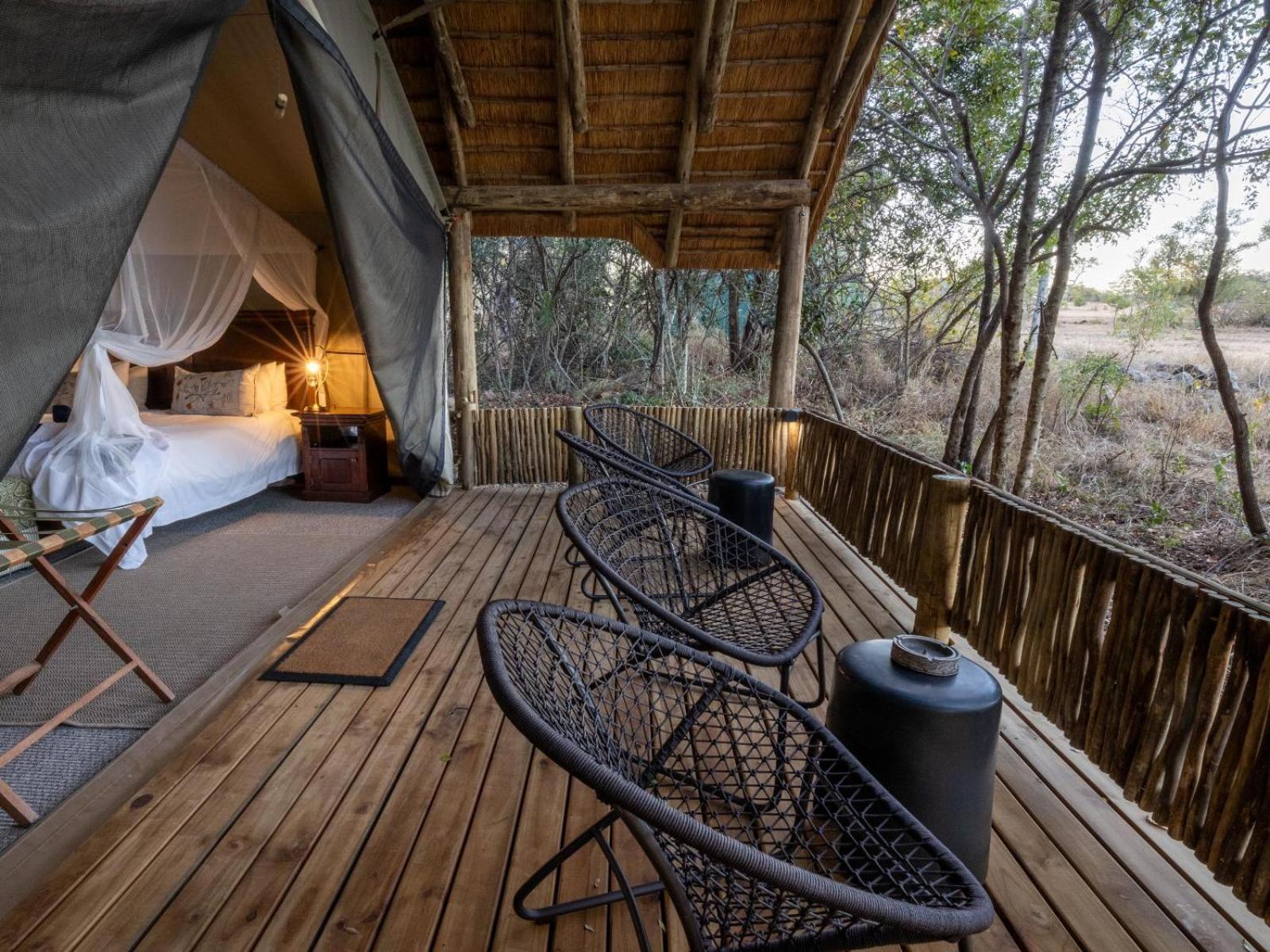 Kwambili Game Lodge Thornybush Game Reserve Habitación foto